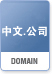 中文.公司域名